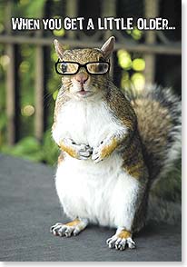 Squirrel wearing glasses