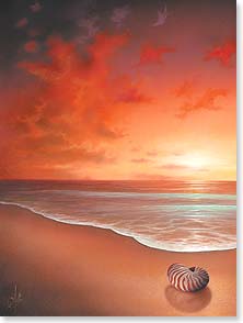 Nautilus shell red and orange sky