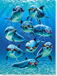 Group of dolphins wearing sunglasses