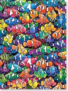 School of brightly colored fish