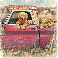 a vintage pickup truck with a dog and three puppies looking out of the cab and bed