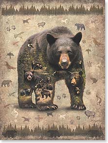 Bear with Native American icons