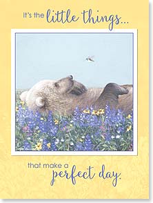 Grizzly bear lying in flowers
