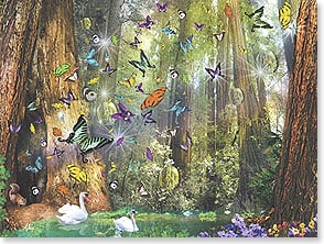 Butterflies and swans in forest