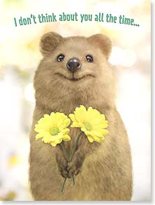 Quokka holding flowers