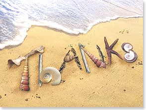 Thanks made by sea shells