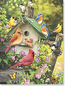 Songbirds perched around birdhouse