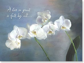 White orchids on blue background
