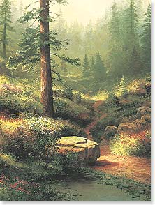 Forest scene with misty sun through trees