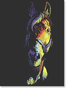 Colorful horse silhouette on black background
