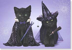 Black kittens dressed for Halloween