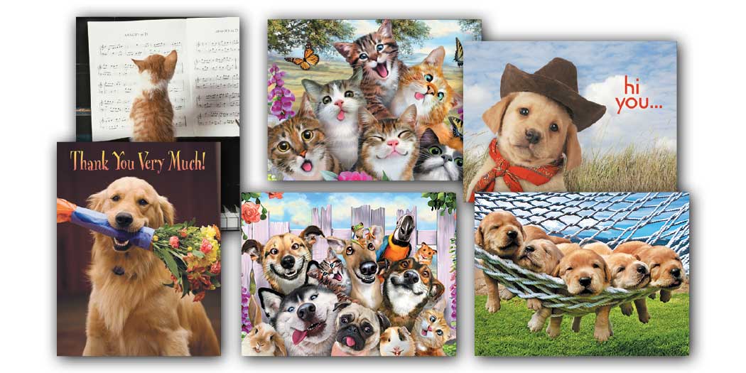 Cats & Dogs Blank Note Card Assortment
