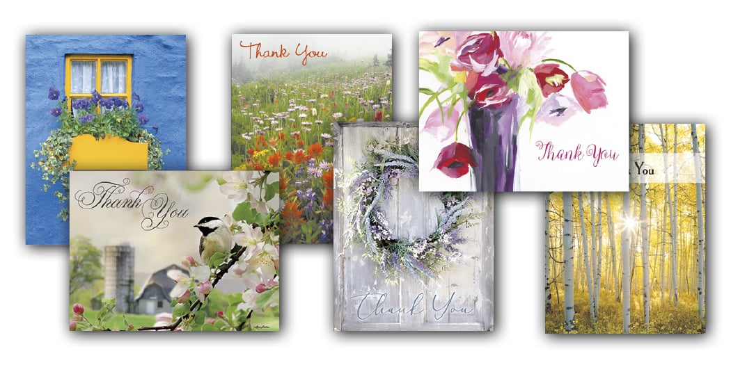 Thank You Blank Note Card Assortment