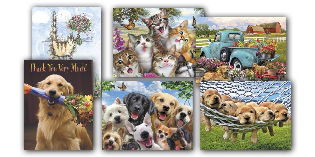 Cats & Dogs Blank Note Card Assortment