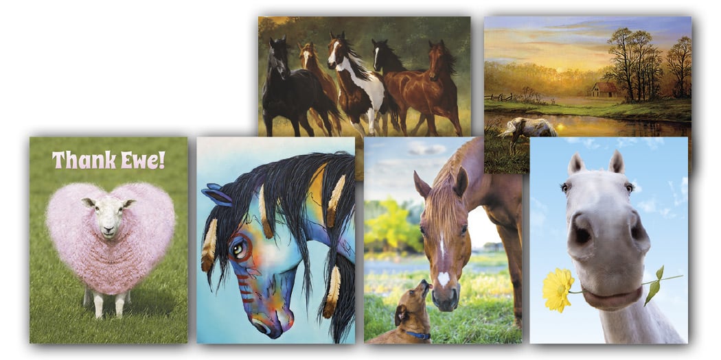 Horse & Farm Friends Blank Note Card Assortment