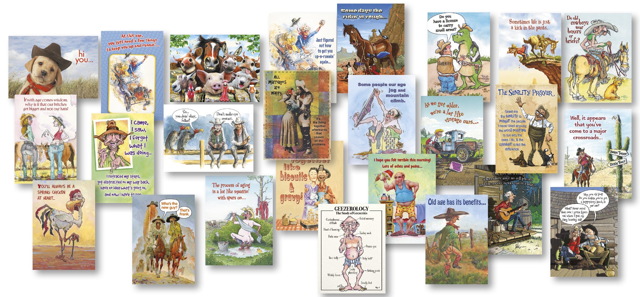 Best of the West Humorous Card Assortment