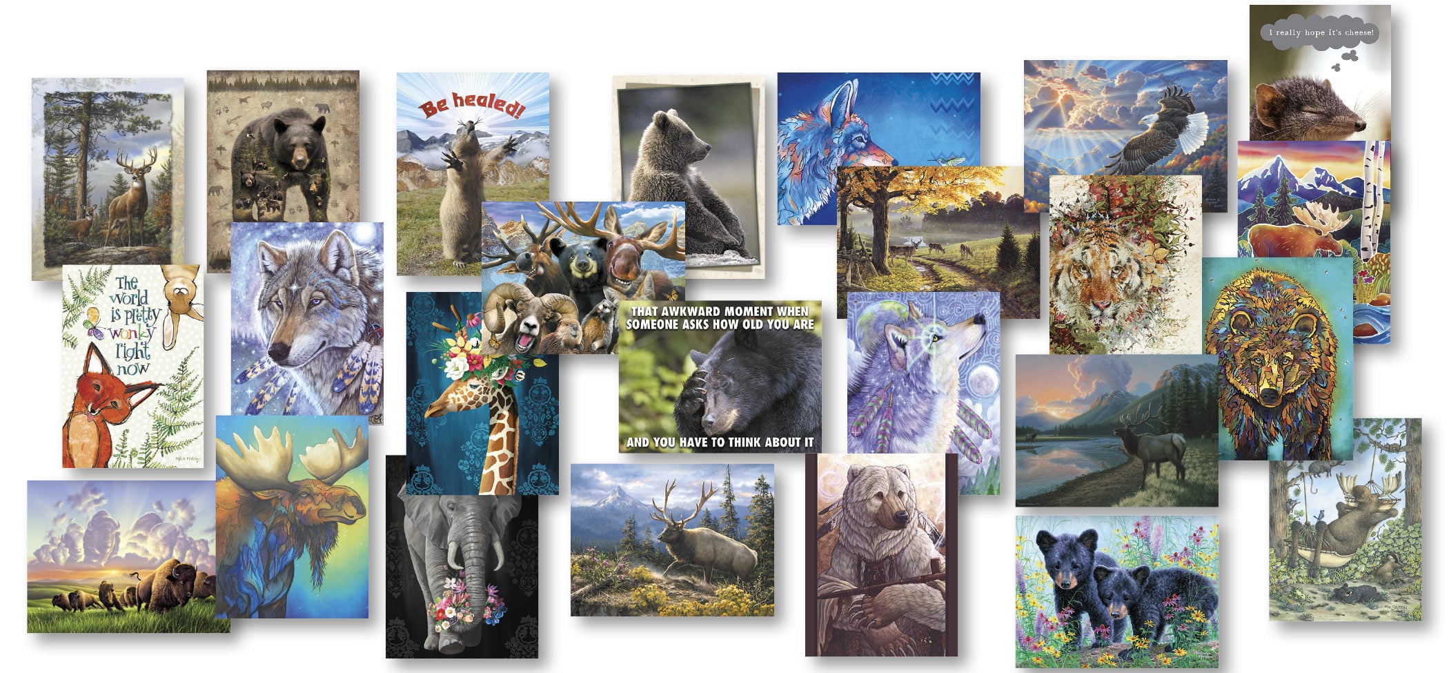 Wildlife Collection Card Assortment