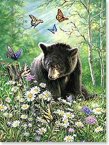 BEAR SITTING IN PATCH OF DAISIES