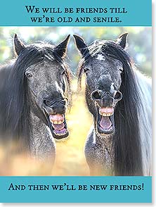 PAIR OF GRAY HORSES LAUGHING