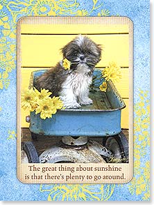 DOG WITH DAISY IN MOUTH AND YELLOW DAISIES IN BLUE WAGON