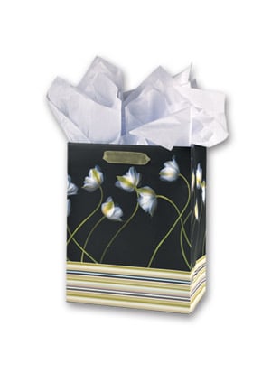 White tulip, black bkgrd