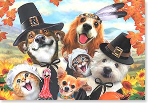 Dogs and cats in Thanksgiving costumes.