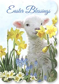 Lamb standing in daffodils