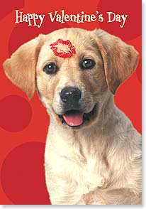 Dog with lip kiss on forehead
