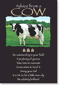 Holstein cow with advice copy
