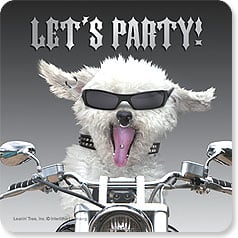 a dog with sunglasses and tongue sticking out rides a motorcycle