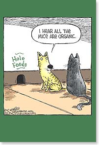 Two cats outside a mouse hole