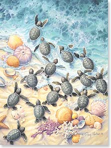 Baby sea turtles on beach diving into water