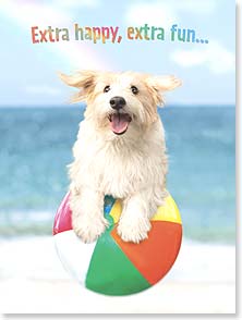 Dog bouncing on beach ball