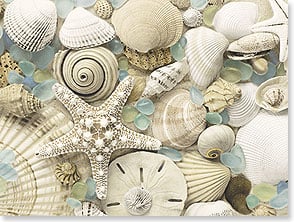 Photo of sea glass and shells
