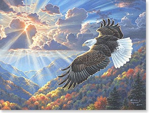 Eagle soaring over mountains