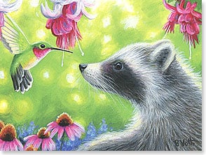 Hummingbird and racoon looking at each other