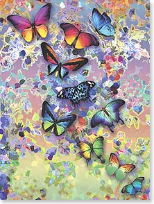 Many colorful butterflies