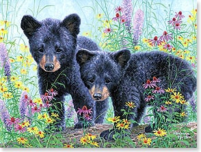 BROWN BEAR CUBS STANDING AMIDST WILDFLOWERS