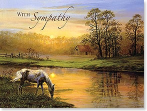 HORSE DRINKING FROM STREAM AT SUNSET