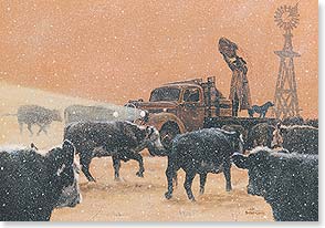 Man feeds cows in snow