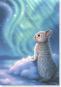 Bunny looking at Aurora Borealis