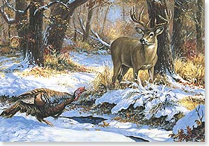 Turkey and buck in snow