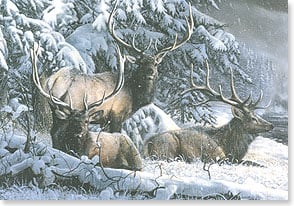Elk next to snowy river