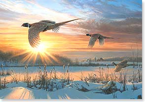 Pheasants flying over snowy field at sunrise