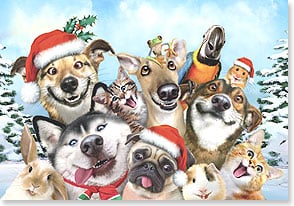 a gathering of smiling animals in santa hats including dogs cats and a kangaroo