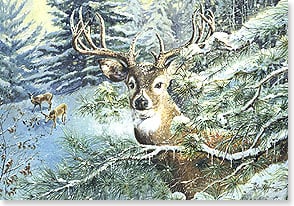 a deer stands in the middle of some snowy tree branches with two more deer in the background
