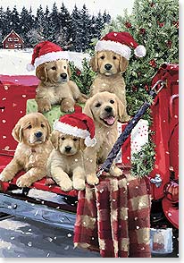 five golden retriever puppies wearing santa hats sit in the bed of a truck next to a christmas tree