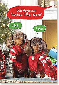 a talk bubble asking did anyone water the tree appears over two daschunds both thinking i did