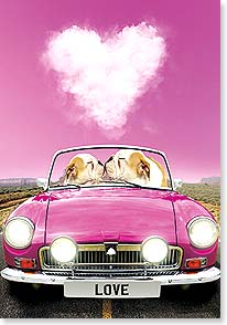 Two bulldogs kissing behind the wheel of a pink convertible with a heart shaped cloud in the sky