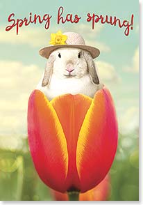 BUNNY IN TULIP AND WEARING A STRAW HAT